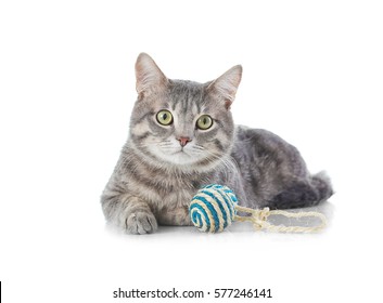 Cute Funny Cat With Toy On White Background