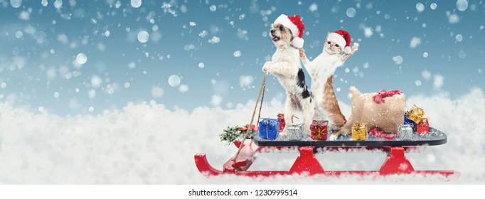 Cute Funny Dog And Cat Riding On A Sleigh To Deliver Christmas Gifts In A Snowy Winter Scene