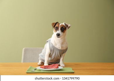 Cute Funny Dog And Plate With Raw Meat On Table