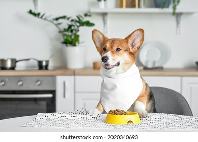 Cute Funny Dog At Table In Kitchen