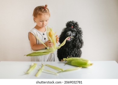 Cute Funny Kid Toddler And Dog Peel Fresh Ears Of Corn, Girl Feeds Corn To The Dog. Vegetables And Healthy Eating, Children And Pets