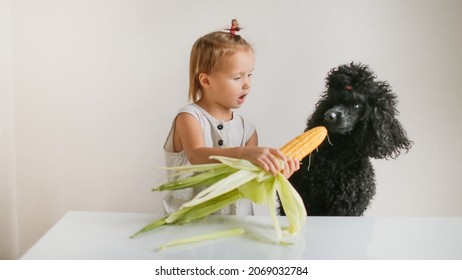 Cute Funny Kid Toddler And Dog Peel Fresh Ears Of Corn, Girl Feeds Corn To The Dog. Vegetables And Healthy Eating, Children And Pets