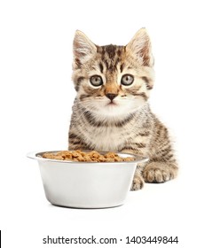 Cute Funny Kitten Eating From Bowl On White Background