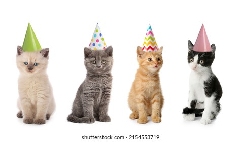 3,195 Adorable Kittens In Party Hats Images, Stock Photos & Vectors ...