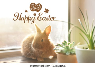 Cute Funny Rabbit Near Window And Text HAPPY EASTER On Background