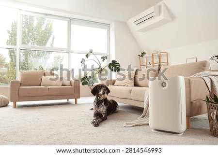 Cute German Shorthaired Pointer dog with modern air purifier in living room