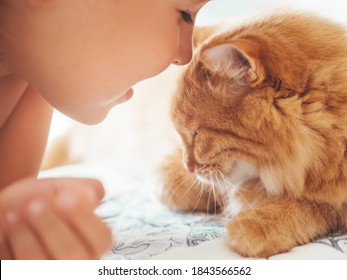 Cute Ginger Cat And Child Snuggle. Kid And Fluffy Pet. Faces Of Little Boy And Fuzzy Domestic Animal. Morning Bedtime.