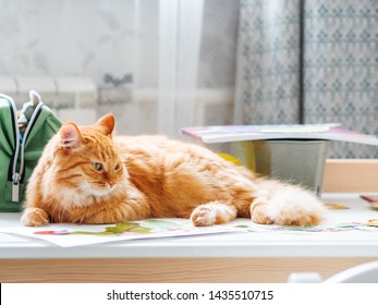 Cute Ginger Cat Is Lying On Children Desk Among Drawings. Fluffy Pet In Kids Room.