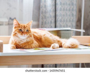 Cute Ginger Cat Is Lying On Children Desk Among Drawings. Fluffy Pet In Kids Room.