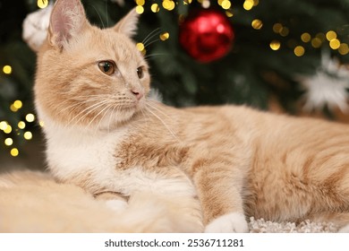 Cute ginger cat lying on rug near Christmas tree indoors, closeup - Powered by Shutterstock