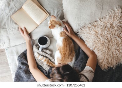 Cute Ginger Cat Is Sleeping In The Bed On Warm Blanket. Cold Autumn Or Winter Weekend While Reading A Book And Drinking Warm Coffee Or Tea. Hygge Concept. Text On The Pages Is Not Recognizable.