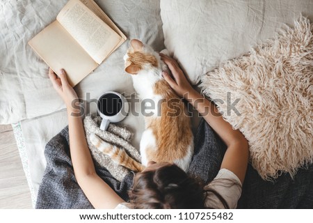 Cute ginger cat is sleeping in the bed on warm blanket. Cold autumn or winter weekend while reading a book and drinking warm coffee or tea. Hygge concept. Text on the pages is not recognizable.