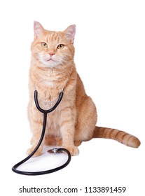 A Cute Ginger Cat With Stethoscope. Veterinary Concept.