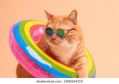 Cute ginger cat in stylish sunglasses with swim ring on beige background - Powered by Shutterstock