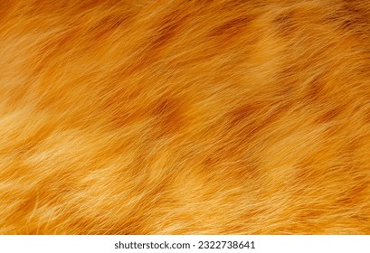 Cute ginger cat texture background. Close up shot of ginger tabby cat's fluffy fur. - Shutterstock ID 2322738641