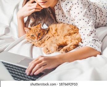 Cute ginger cat and woman are lying in bed. Woman watching online video translation or new TV series. Online communication. Morning with fluffy pet.