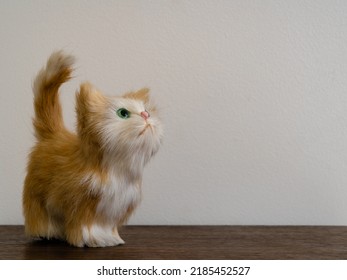 Cute Ginger And White Teddy Kitten Or Soft Toy Cat With Green Eyes Standing And Looking Upward Isolated On Light Background