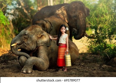 The Cute Girl From Chiang Mai, Thailand With The Kind Elephant.