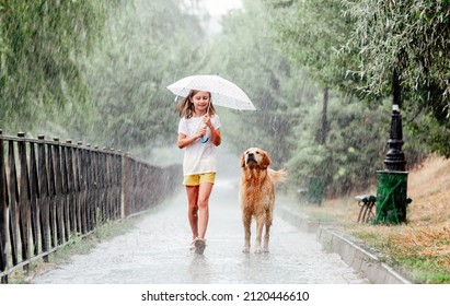 Cute girl with golden retriever dog during rain walking under umbrella outside. Preteen kid in wet clothes with doggy pet in rainy day