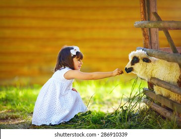 cute girl, kid feeding lamb with grass, countryside