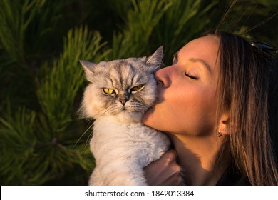 Cute Girl Kisses Her Lovely Funny Grumpy Cat. Cat With Owner. Love For Cats. Naughty Cat Owner. Cat Get Angry When Owner Kisses Him.