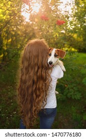 Imagenes Fotos De Stock Y Vectores Sobre Dog Hairstyles