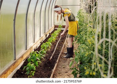 A Cute Girl Loosens The Ground With A Hoe In A Greenhouse So That Pepper Seedlings Grow Better. She Takes Care Of The Plants. To Work In The Garden. Eco-friendly, Non-GMO