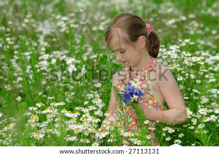 Similar – flower girl Gänseblümchen