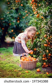 Cute Girl Pick Harvest Orange Autumn Stock Photo 197341088 | Shutterstock