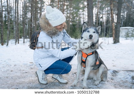 Cute girl playing with many husky in the forest during winter.