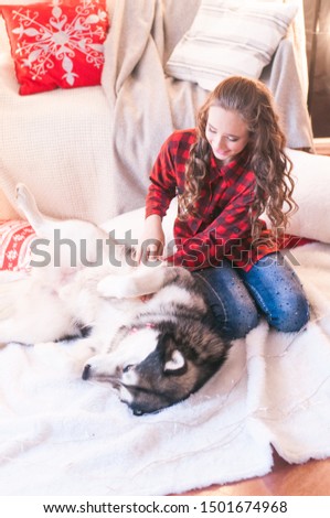 Cute girl in a red checkered shirt with malamute at home in the room decorated for Christmas. Happy christmas mood

