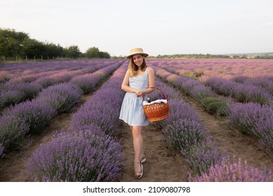 cute girl in a straw hat with a basket stands on a field of blooming lavender in summer at sunrise. A woman in a white dress holds a basket with a bouquet of fragrant flowers. Summer tourism concept