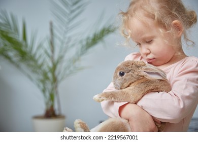 Cute Girl Todler Hugging A Curly Rabbit At Home. Girl With Rabbit, Pet Bunny. Copy Space.