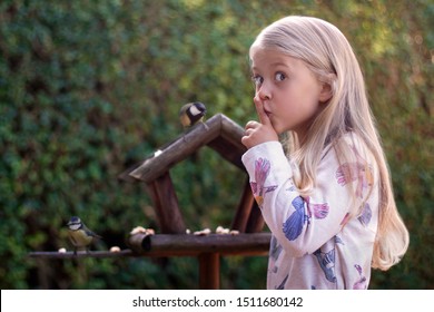 Cute girl watching two birds: a great tit and a blue tit in a bird house feeder while being very quiet. - Shutterstock ID 1511680142