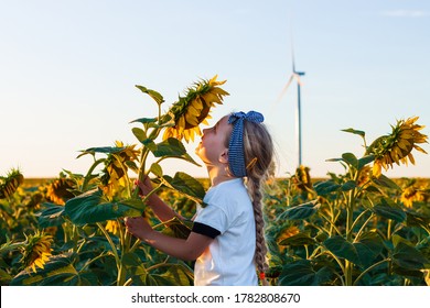 Cute girl in white t-shirt smelling sunflower in the field on the sunset. Child with long blonde braided hair on countryside landscape with yellow flower in hand. Farming concept,harvesting wallpaper. - Powered by Shutterstock