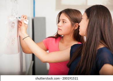 Cute Girls Working Together To Solve A Math Problem In Front Of A White Board At School