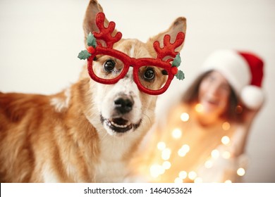 Cute golden dog in festive reindeer glasses with antlers looking with funny emotions on background of smiling girl in santa hat and christmas lights. Merry Christmas. Happy Holidays.