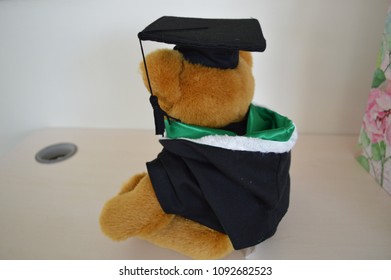 cute graduation bear