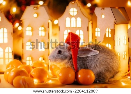 Cute gray bunny in holiday decorations. Christmas light mood atmosphere. New 2023 year of the rabbit chinese zodiac horoscope. Tangerine garlands and houses. House is a symbol of cozy family. mortgage