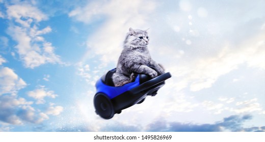 Cute gray cat in toy car flying on blue sky background. Follow your dream concept.