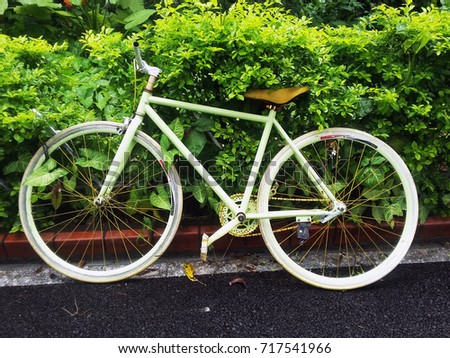 Cute green bike near hedgegrow. Street in Xiamen, Fujian province, China