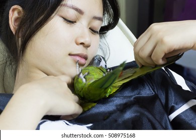 Cute Green Macaw Bird Pet Play On Woman.