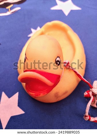 A cute grungy duck on a blue background