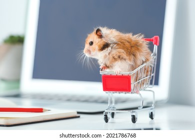 Cute Hamster In Small Shopping Cart On Table