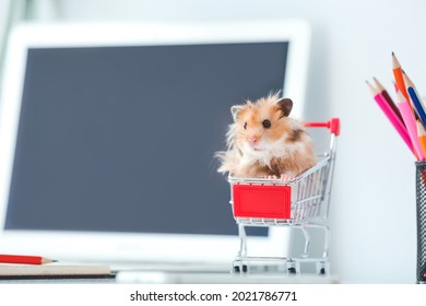 Cute Hamster In Small Shopping Cart On Table