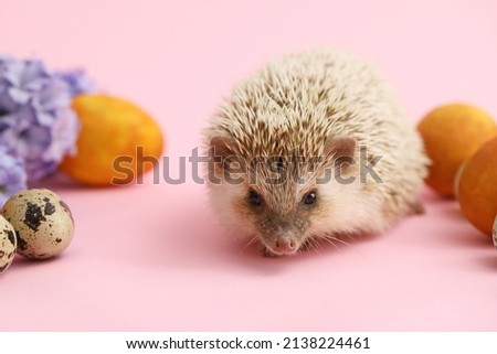 Cute hedgehog with Easter eggs and flowers on pink background, closeup