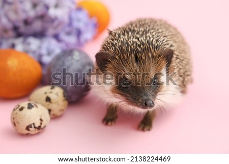 Cute hedgehog with Easter eggs and flowers on pink background, closeup