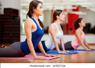 Cute Hispanic women practicing the cobra pose during their yoga class in a gym