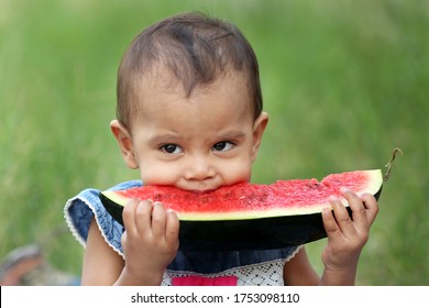 Cute Indian Baby Girl Eating Watermelon Holding A Large Peice Of Melon In Her Both Hands.