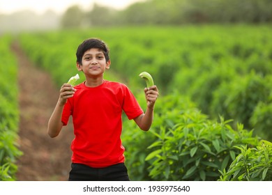 Cute Indian Child Eating Raw Banana Fruit At Agriculture Field